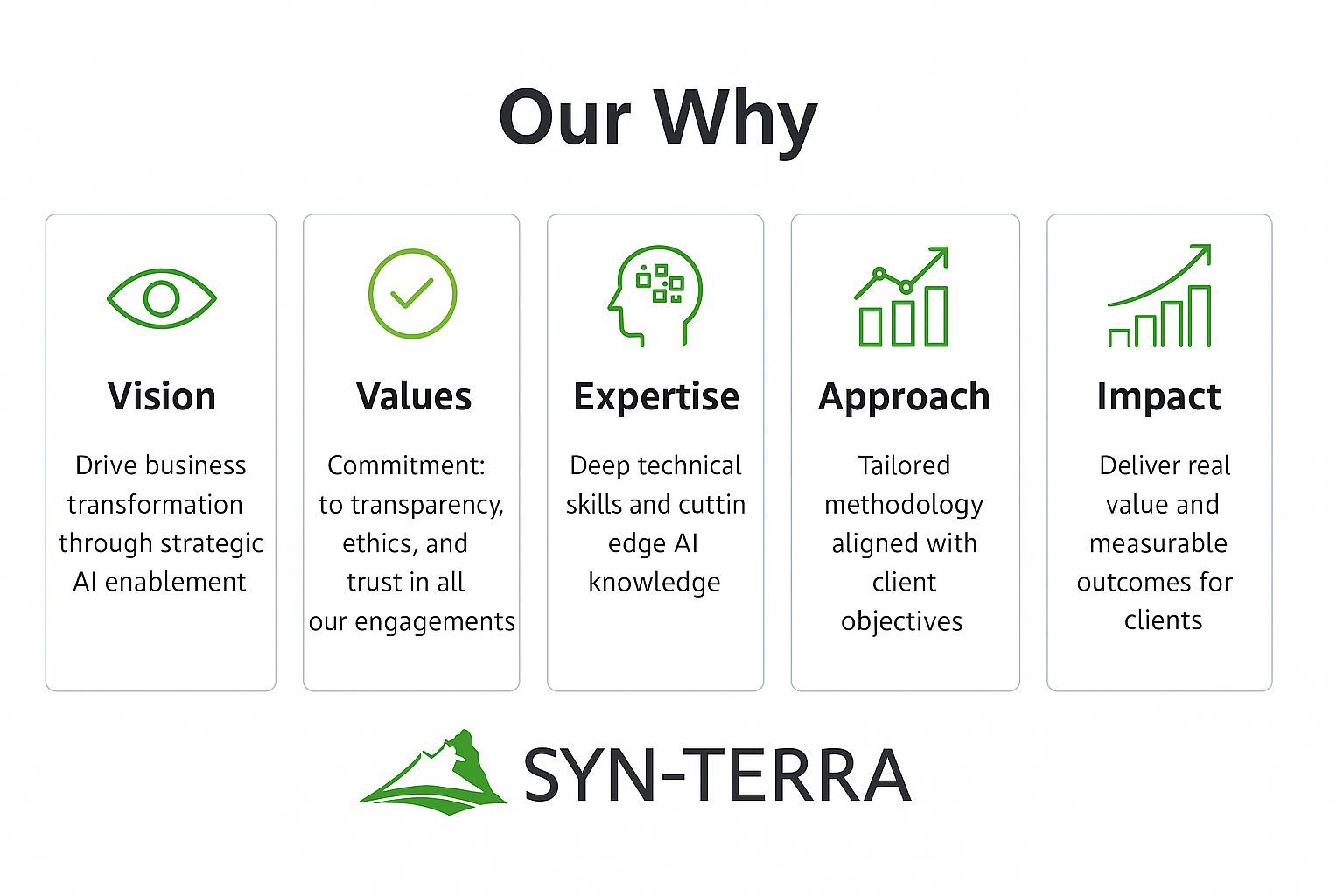 Syn-Terra's Vision, Values, Expertise, Approach, and Impact