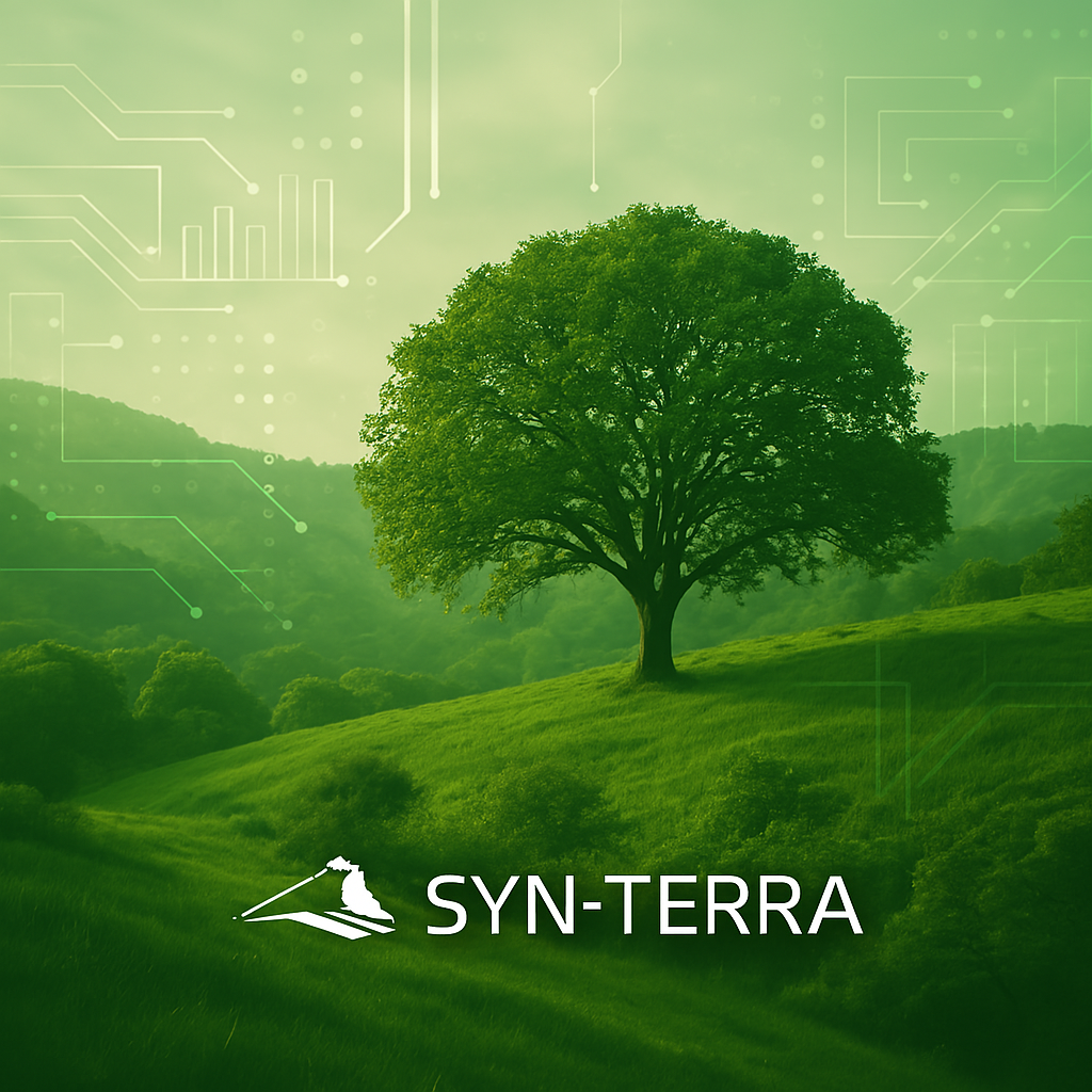 Why Your Business Needs a Digital Transformation Strategy