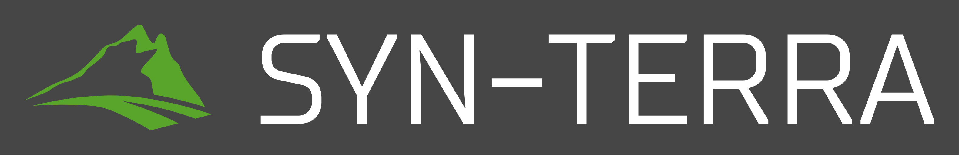 SYN-TERRA logo